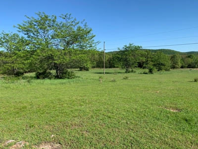 Old Ozark Farm---Pasture, Creeks, Livestock Ready - image 47