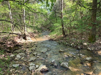 Old Ozark Farm---Pasture, Creeks, Livestock Ready - image 27