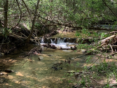 Old Ozark Farm---Pasture, Creeks, Livestock Ready - image 31