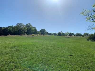 Old Ozark Farm---Pasture, Creeks, Livestock Ready - image 43