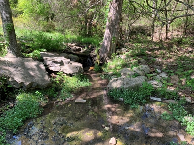 Old Ozark Farm---Pasture, Creeks, Livestock Ready - image 7
