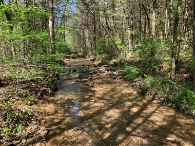 Old Ozark Farm---Pasture, Creeks, Livestock Ready - image 18
