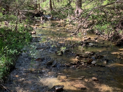 Old Ozark Farm---Pasture, Creeks, Livestock Ready - image 35