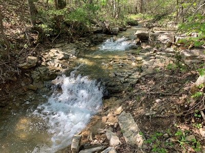 Old Ozark Farm---Pasture, Creeks, Livestock Ready - image 38