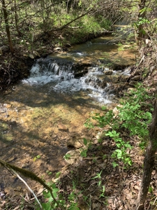 Old Ozark Farm---Pasture, Creeks, Livestock Ready - image 36