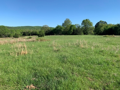 Old Ozark Farm---Pasture, Creeks, Livestock Ready - image 44