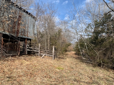 Old Ozark Farm---Pasture, Creeks, Livestock Ready - image 6