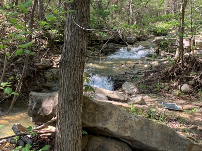 Old Ozark Farm---Pasture, Creeks, Livestock Ready - image 39