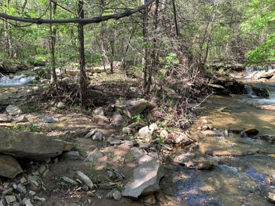 Old Ozark Farm---Pasture, Creeks, Livestock Ready - image 41
