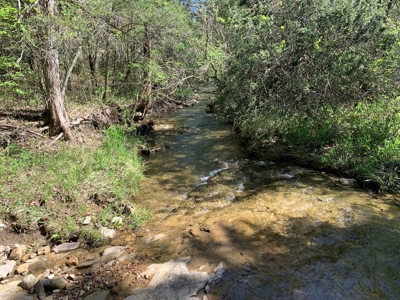 Old Ozark Farm---Pasture, Creeks, Livestock Ready - image 33