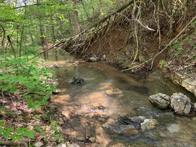 Old Ozark Farm---Pasture, Creeks, Livestock Ready - image 26