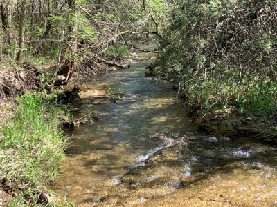 Old Ozark Farm---Pasture, Creeks, Livestock Ready - image 34