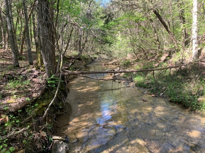 Old Ozark Farm---Pasture, Creeks, Livestock Ready - image 14