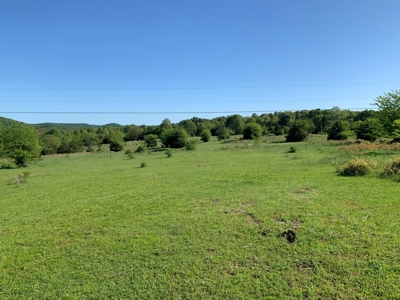 Old Ozark Farm---Pasture, Creeks, Livestock Ready - image 46