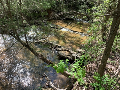 Old Ozark Farm---Pasture, Creeks, Livestock Ready - image 32
