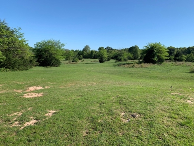 Old Ozark Farm---Pasture, Creeks, Livestock Ready - image 45