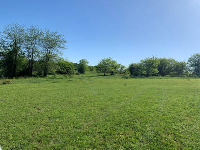 Old Ozark Farm---Pasture, Creeks, Livestock Ready - image 50
