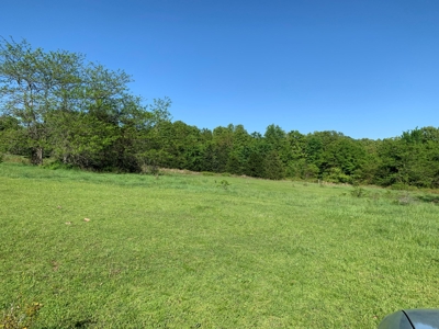 Old Ozark Farm---Pasture, Creeks, Livestock Ready - image 49