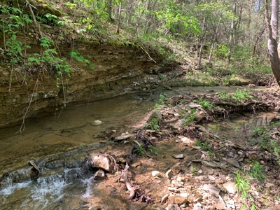 Old Ozark Farm---Pasture, Creeks, Livestock Ready - image 24
