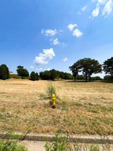 Commerical Property  For Sale Rolla Missouri! - image 8