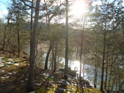 Cabin On Black River, 30 Acres - image 7