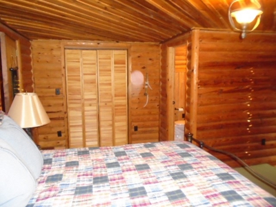 Cabin On Black River, 30 Acres - image 16