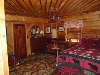 Cabin On Black River, 30 Acres - image 14