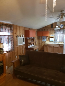 Rustic Cabin Overlooking Clinch River in East TN For Sale - image 22