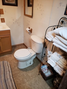 Rustic Cabin Overlooking Clinch River in East TN For Sale - image 20