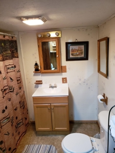 Rustic Cabin Overlooking Clinch River in East TN For Sale - image 19