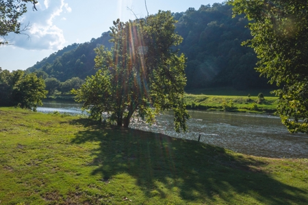 Rustic Cabin Overlooking Clinch River in East TN For Sale - image 4