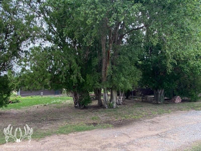 Country Home on 52 Acres M/L in Meade County Kansas For Sale - image 34