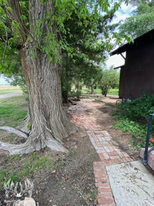 Country Home on 52 Acres M/L in Meade County Kansas For Sale - image 3