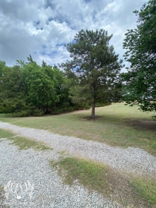 Country Home on 52 Acres M/L in Meade County Kansas For Sale - image 38