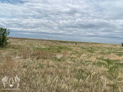 Country Home on 52 Acres M/L in Meade County Kansas For Sale - image 40