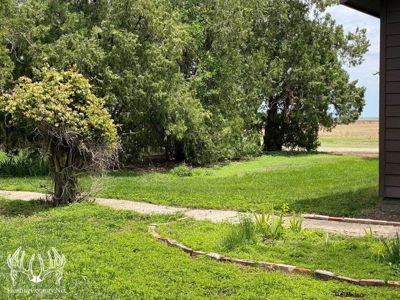 Country Home on 52 Acres M/L in Meade County Kansas For Sale - image 20