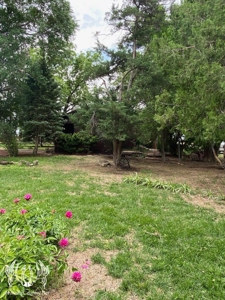 Country Home on 52 Acres M/L in Meade County Kansas For Sale - image 33