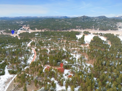 Custom Log home on 5 acres in Custer, South Dakota - image 33