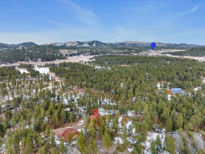 Custom Log home on 5 acres in Custer, South Dakota - image 32