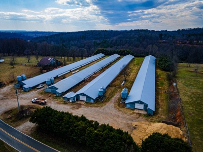 Multi-Family Poultry Farm & Acreage For Sale Burke County NC - image 6