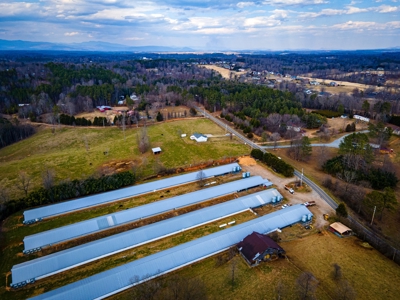 Multi-Family Poultry Farm & Acreage For Sale Burke County NC - image 22