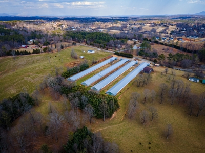 Multi-Family Poultry Farm & Acreage For Sale Burke County NC - image 5