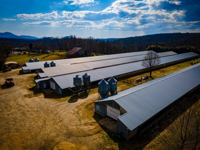 Multi-Family Poultry Farm & Acreage For Sale Burke County NC - image 20
