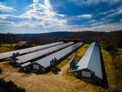 Multi-Family Poultry Farm & Acreage For Sale Burke County NC - image 21