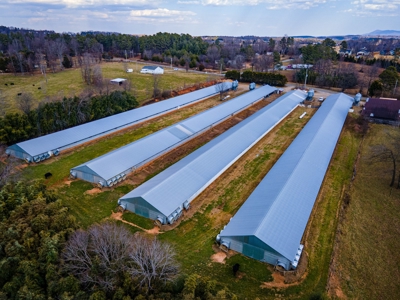 Multi-Family Poultry Farm & Acreage For Sale Burke County NC - image 7