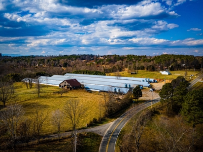 Multi-Family Poultry Farm & Acreage For Sale Burke County NC - image 19