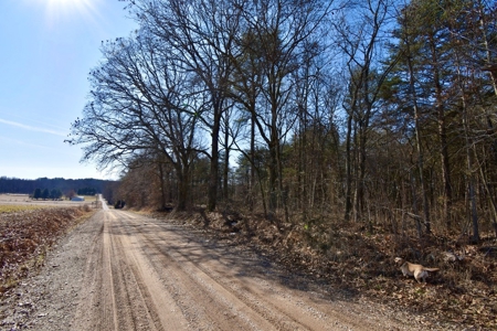 Warrick County Buildable Land For Sale - Wooded Homesites - image 12