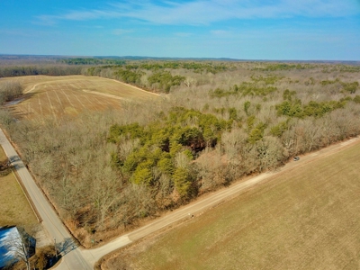 Warrick County Buildable Land For Sale - Wooded Homesites - image 11