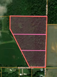 Warrick County Buildable Land For Sale - Wooded Homesites - image 2