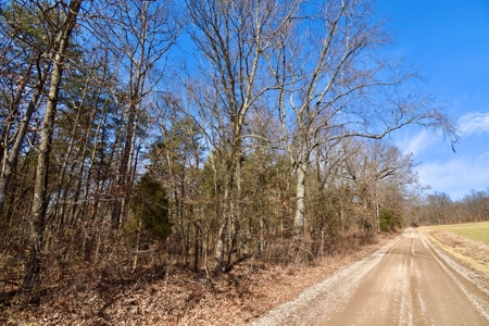 Warrick County Buildable Land For Sale - Wooded Homesites - image 14